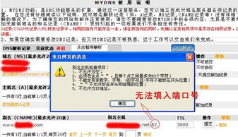 新網(wǎng)域名解析內網(wǎng)端口設置指南